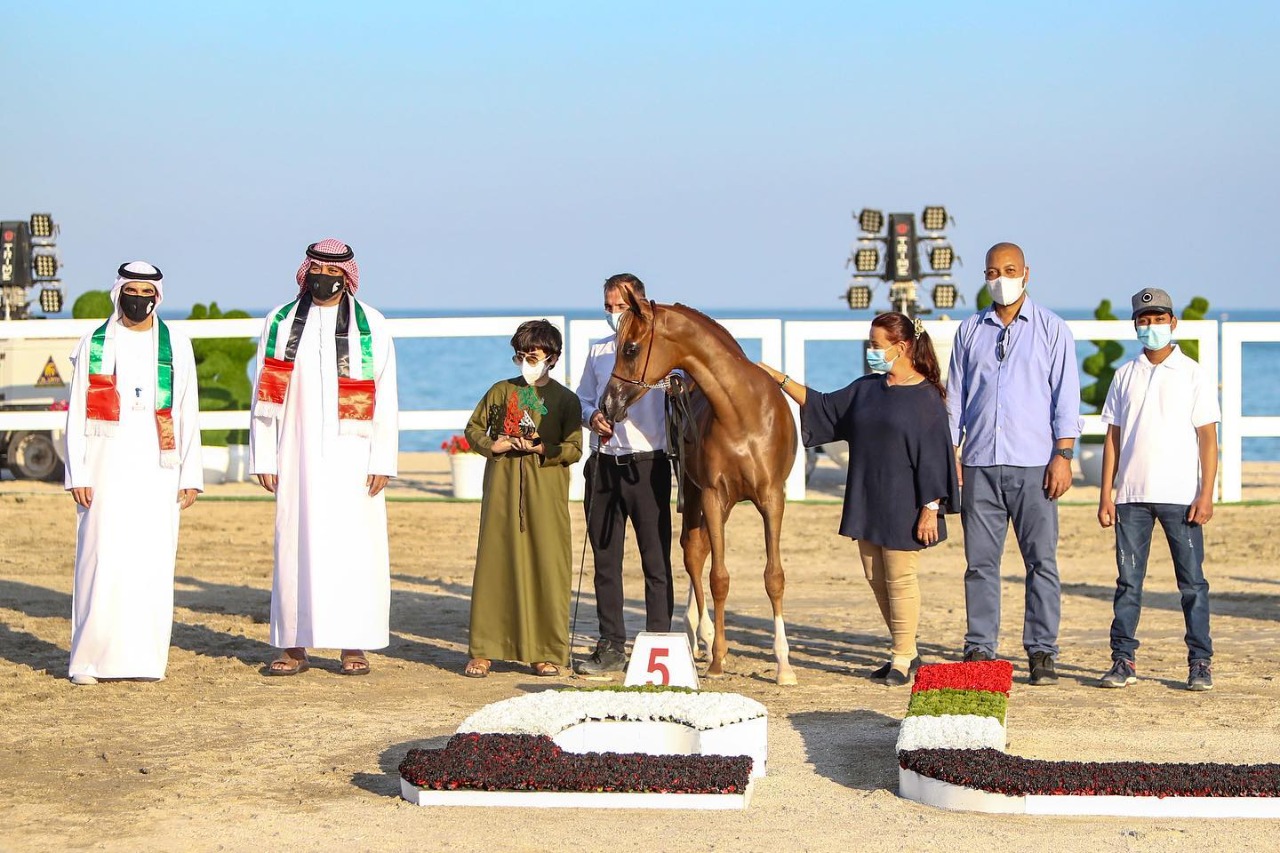 بالصور.. أجمل الخيول المشاركة في مهرجان شارقة كلباء الثاني للجواد العربي