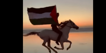 فارس مغربي يتضامن مع فلسطين