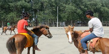 خيول بنغلاديش