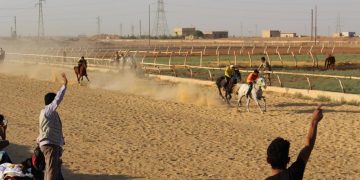 سباق الخيول العربية الأصيلة
