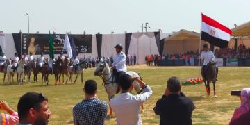 مهرجان الشرقية للخيول العربية