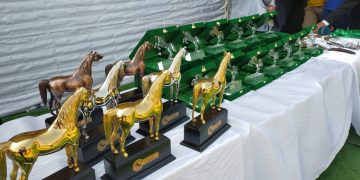 الفائزين بمهرجان الشرقية للخيول العربية
