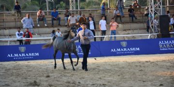 بطولة مراسم رباب للخيول العربية الأصيلة