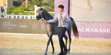 بطولة مراسم رباب للخيول العربية المصرية الأصيلة