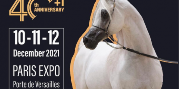 بطولة باريس لجمال الخيول العربية الاصيلة