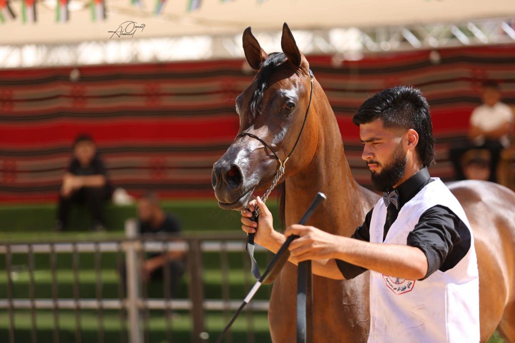 تعرف على موعد بطولة نادي خليل الرحمن بفلسطين