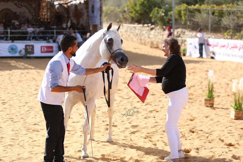 تعرف على موعد بطولة نادي خليل الرحمن بفلسطين