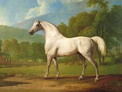 «رسام الخيل» من هو جورج ستابس عاشق رسم الحصان في القرن الثامن عشر