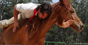تعلم كيفية ممارسة رياضة "اليوغا" مع الخيول.. للجمع بين الهدوء واللياقة