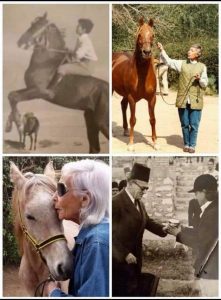 «سياحة الشرقية» تختار «سيدة الحصان العربي» كشخصية العام ببطولة جمال الخيول