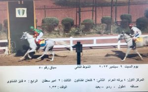 صور.. "الهيئة العليا" تعلن نتيجة الأشواط الستة لسباق نادي الجزيرة
