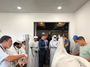 الإمارات تنظم ثاني الدورات العالمية في إدارة الإسطبلات