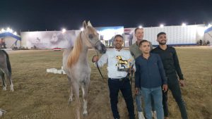 غرام وخلود رباب تخطفن ذهبية مهرات عمر سنة في مهرجان جمال الخيول بالشرقية