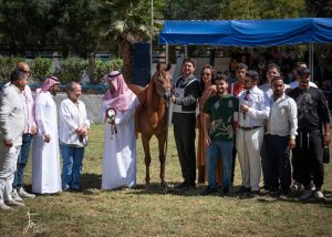 تعرف على نتائج بطولة الشرق الأوسط لجمال الخيول بالأردن