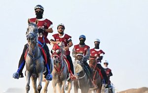 تأهل 64 حصانا للسباق التأهيلي للقدرة والتحمل في سلطنة عمان