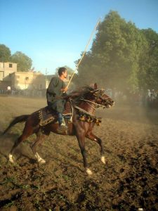 شاهد.. ملتقى الفرسان.. صابية الأقصر أشهر عروض الخيل في الصعيد