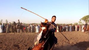 شاهد.. ملتقى الفرسان.. صابية الأقصر أشهر عروض الخيل في الصعيد