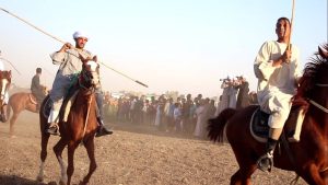 شاهد.. ملتقى الفرسان.. صابية الأقصر أشهر عروض الخيل في الصعيد