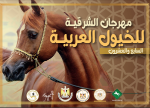 مفاجآت وفقرات فنية ورياضية .. تفاصيل حفل افتتاح مهرجان الشرقية للخيول
