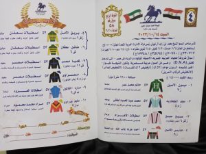 بمشاركة 62 خيلا في 6 أشواط.. القاهرة تحتضن كأس رئيس الإمارات للخيول العربية