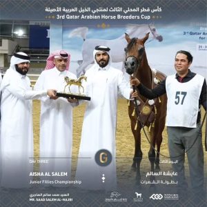 "عايشة السالم" بطلة من ذهب في كأس قطر الثالث لمنتجي الخيل العربية