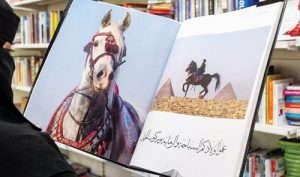 مصورة فرنسية تكرس 30 عاماً من حياتها لتصوير جمال الخيول العربية