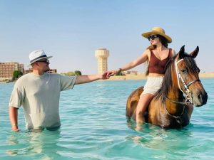 صور.. الخيول تبهر السياح وتشارك في تنشيط السياحة بشواطئ البحر الاحمر