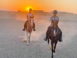 صور.. الخيول تبهر السياح وتشارك في تنشيط السياحة بشواطئ البحر الاحمر