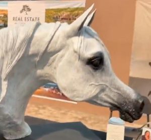 فيديو .. شاهد مجسم لـ رأس حصان عربي يثير جدلا كبيرا في السعودية