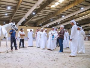 جمعية الإمارات تنظم دورة لـ "التحكيم الوطني" في عروض الخيول العربية