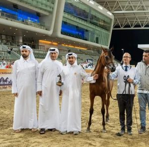 "الشقب والشحانية"ضمن أبطال اليوم الأول ببطولة قطر للخيل العربية