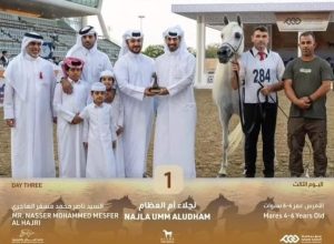 "نجلاء أم العظام" تفوز ببطولة قطر المحلية لجمال الخيول عمر 4-6 سنوات