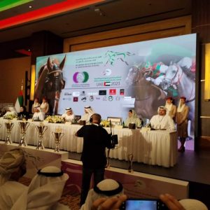 40 دولة تشارك في فعاليات الملتقى الدولي للخيول العربية في أبوظبي