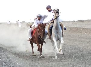 بمشاركة النساء.. 60 خيلا تستعرض مواهبها بمهرجان "ركضة عرضة الخيل" في عمان