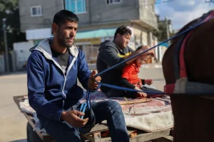 العدوان على غزة يصعد ببورصة الخيول.. ارتفاع سعر الحصان لـ 8 آلاف شيكل