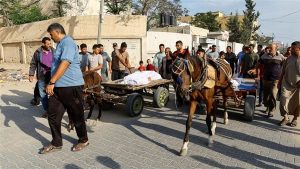 صورة.. الخيول تنقل جرحى وشهداء غزة بعد قصف الاحتلال لسيارات الإسعاف