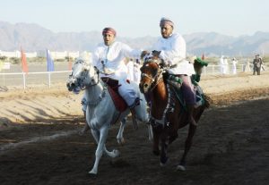 بمشاركة النساء.. 60 خيلا تستعرض مواهبها بمهرجان "ركضة عرضة الخيل" في عمان