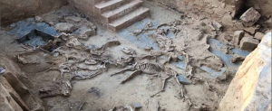 شاهد.. مقبرة جماعية تكشف تقديم الخيول كقرابين في إسبانيا