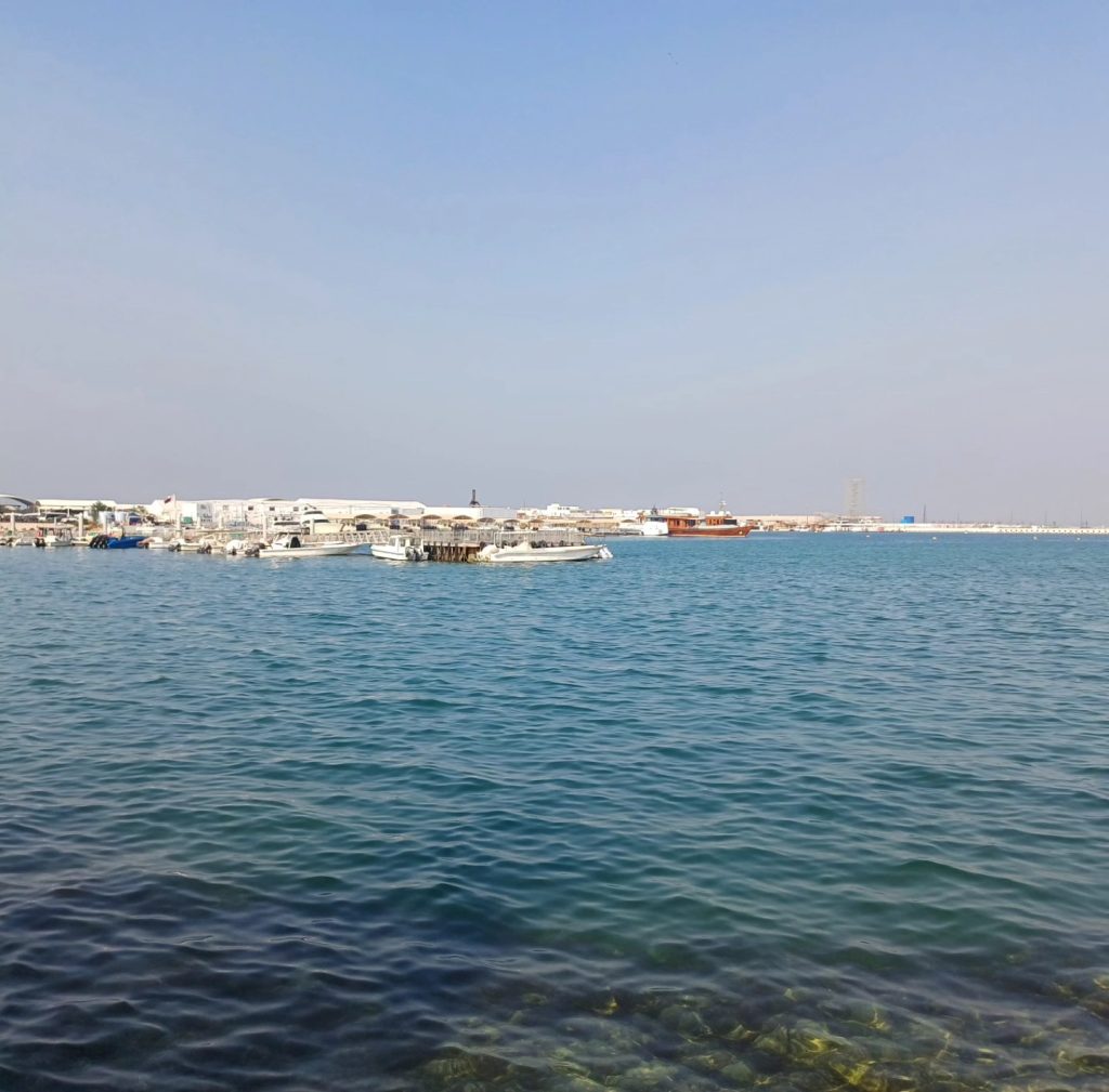 ميناء الدوحة القديم يستعد لإستقبال بطولة العالم للجواد العربي