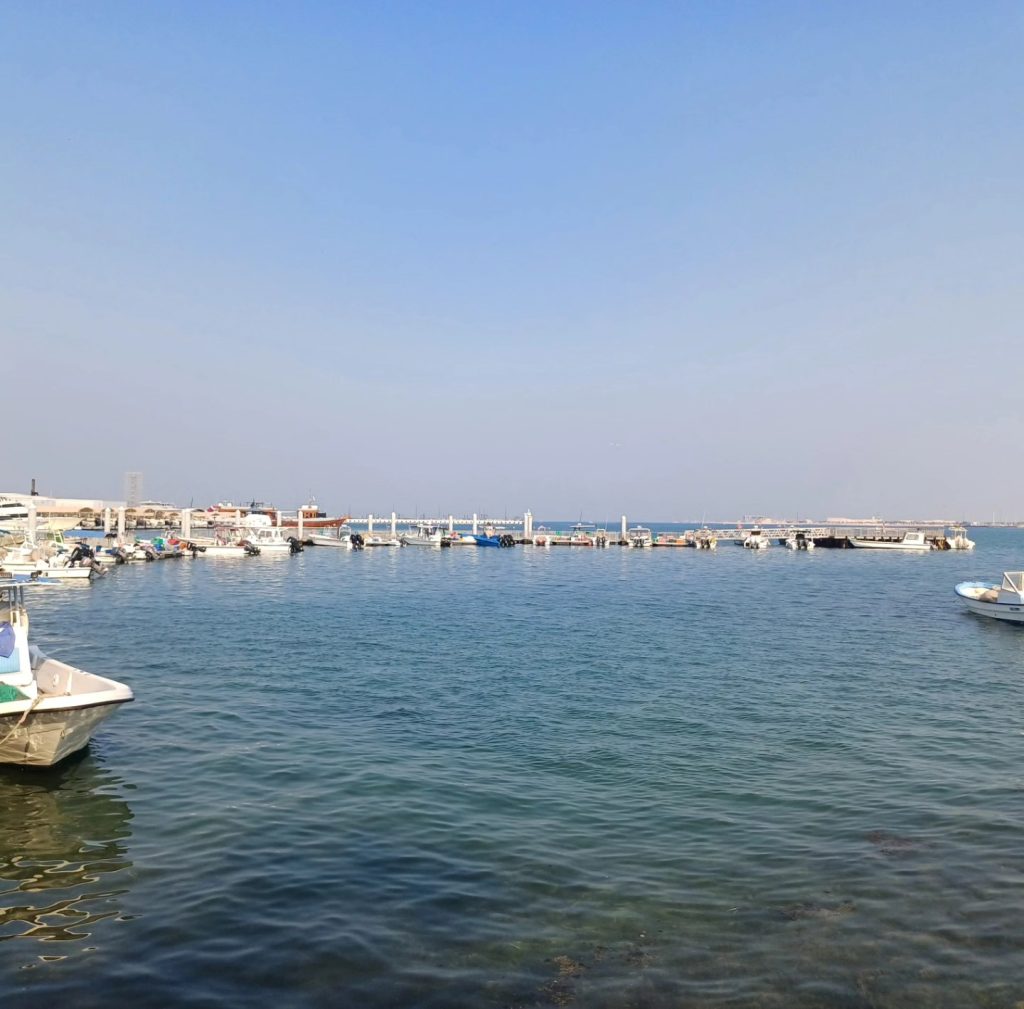 ميناء الدوحة القديم يستعد لإستقبال بطولة العالم للجواد العربي