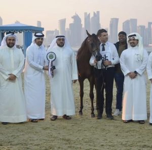 نتائج الأمهر المشاركة ببطولة العالم لجمال الخيل العربية في قطر