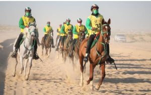 سباقان تأهيليان ضمن فعاليات كأس رئيس دولة الإمارات للقدرة.. 12 ديسمبر