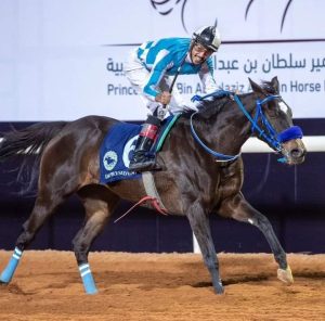 " تقدير" بطلة لكأس رئيس الإمارات للخيول العربية في السعودية