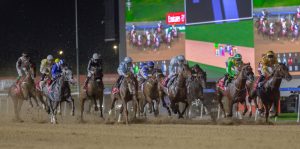 نادي دبي يعلن تفاصيل أولى أمسيات كرنفال سباقات الخيل العربية