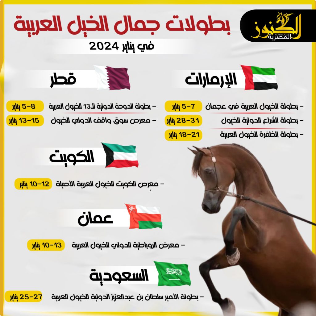 بطولات جمال الخيول في شهر يناير (انفوجراف)