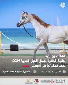 اليوم.. انطلاق بطولة الظفرة لجمال الخيل العربية 2024