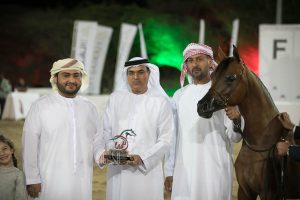 المدير التنفيذي لمربط دبي: منافسات"كتارا" شهدت أفضل سلالات الخيل في العالم   