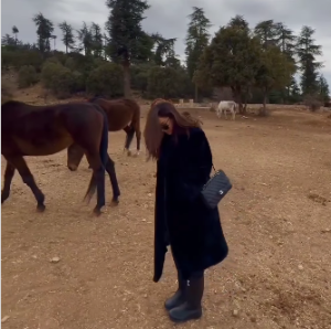 فيديو وصور.. بسمة بوسيل تستمتع بوقتها مع الخيول
