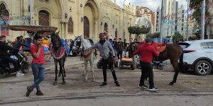 20 جنيها.. سعر جولة سياحية بالخيول في عيد الفطر بـ الأسكندرية
