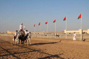 80 فارسا يستعرضون مهاراتهم بمهرجان عرضة الخيل في عمان